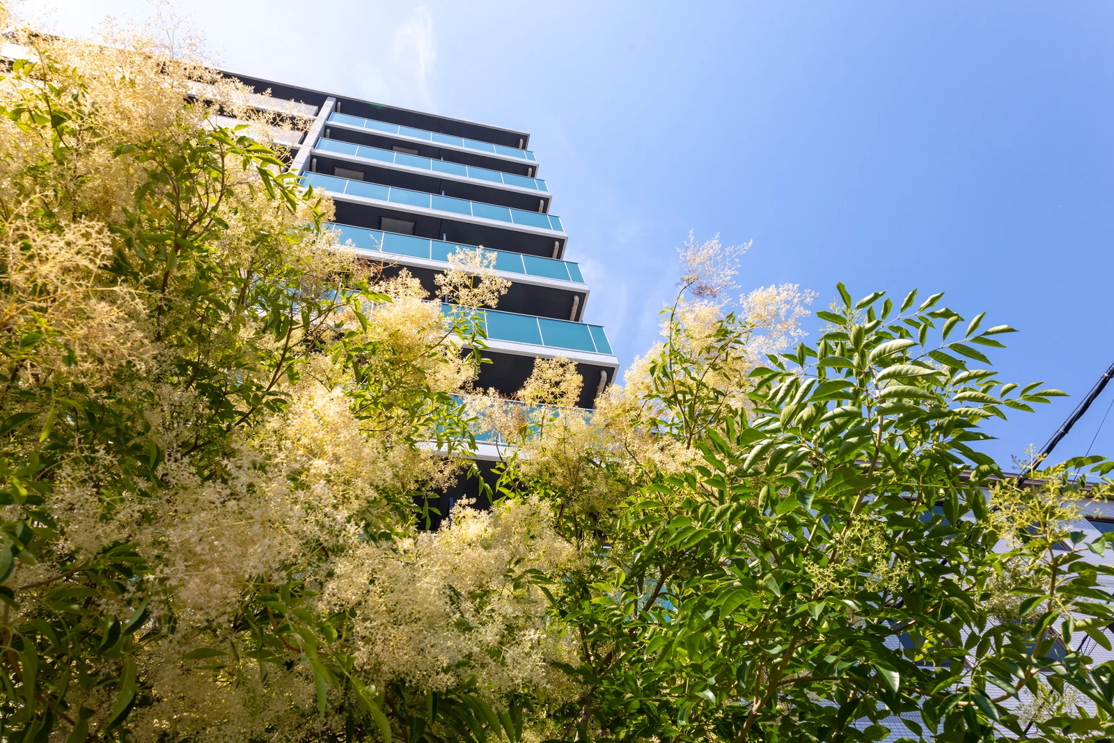 青空と植栽に囲まれたマンション